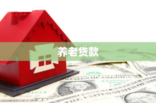 通河养老贷款