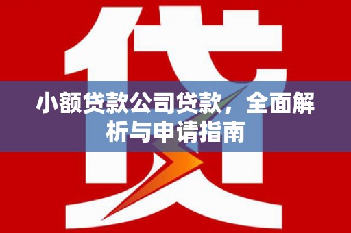 通河小额贷款公司贷款，全面解析与申请指南