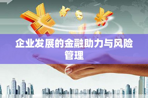 通河企业发展的金融助力与风险管理