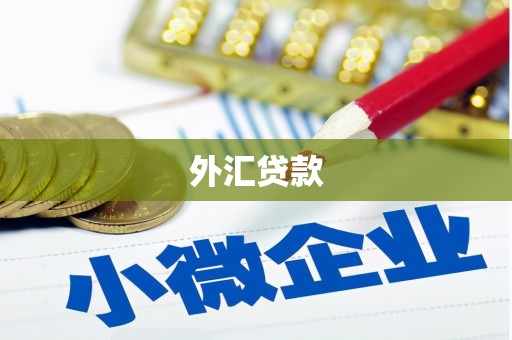 通河外汇贷款