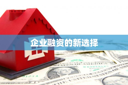 通河企业融资的新选择