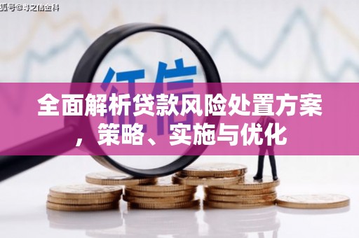 通河全面解析贷款风险处置方案，策略、实施与优化