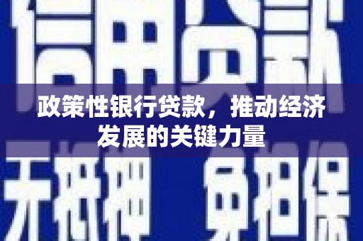 通河政策性银行贷款，推动经济发展的关键力量