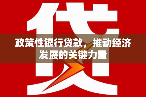 通河政策性银行贷款，推动经济发展的关键力量