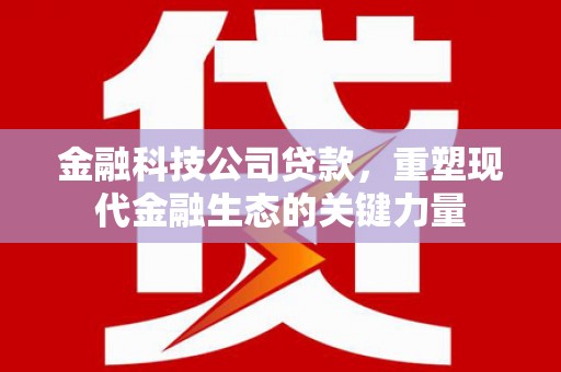 通河金融科技公司贷款，重塑现代金融生态的关键力量