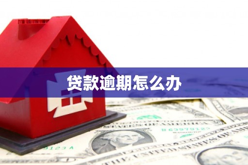 通河贷款逾期怎么办
