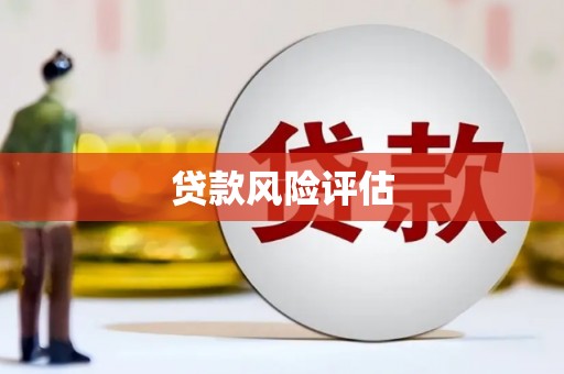 通河贷款风险评估
