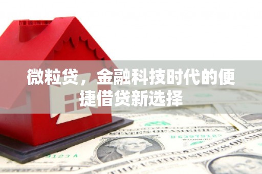 通河微粒贷，金融科技时代的便捷借贷新选择