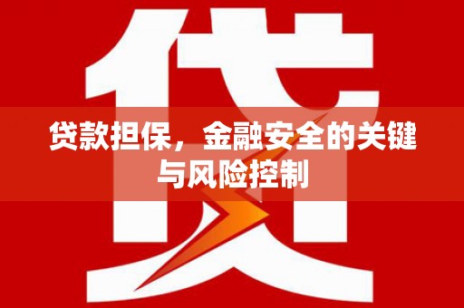 通河贷款担保，金融安全的关键与风险控制