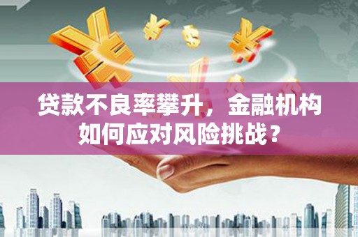 通河贷款不良率攀升，金融机构如何应对风险挑战？