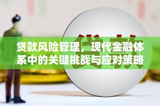 通河贷款风险管理，现代金融体系中的关键挑战与应对策略