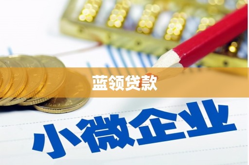 通河蓝领贷款