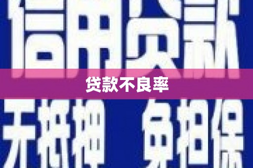 通河贷款不良率